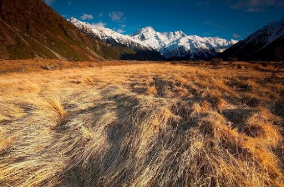 Mount Cook to Queenstown Day Tour: One Way GS73 (1425 - 1825)
